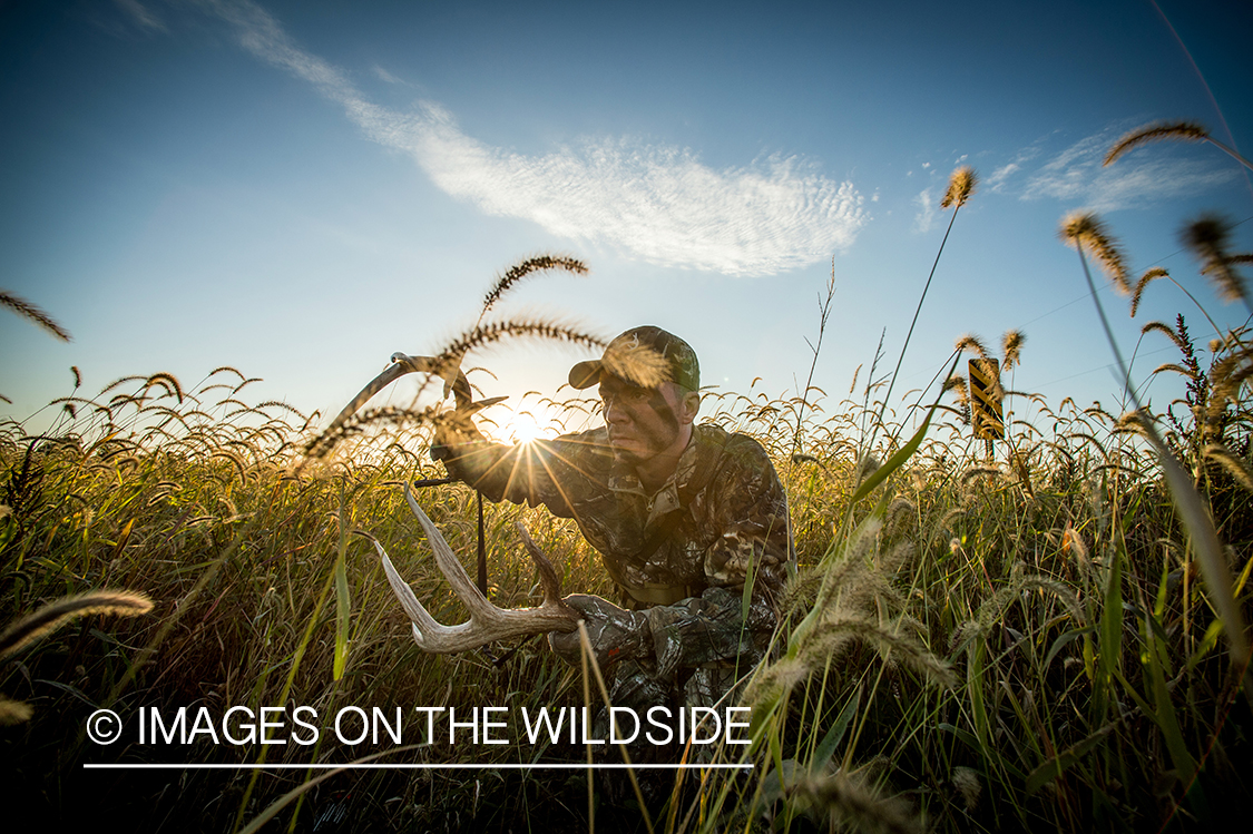 Bow hunter rattling antlers for bucks.