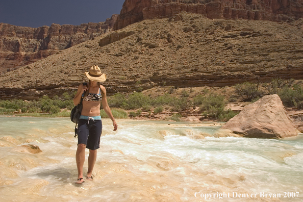 Woman walking in the Little Colorado River.  Grand Canyon.