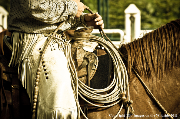 Cowboy chaps and lariat