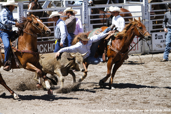 Augusta Rodeo