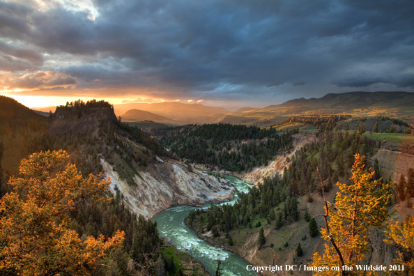 Yellowstone National Park river scenic