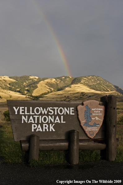 Yellowstone National Park / North Entrance Sign