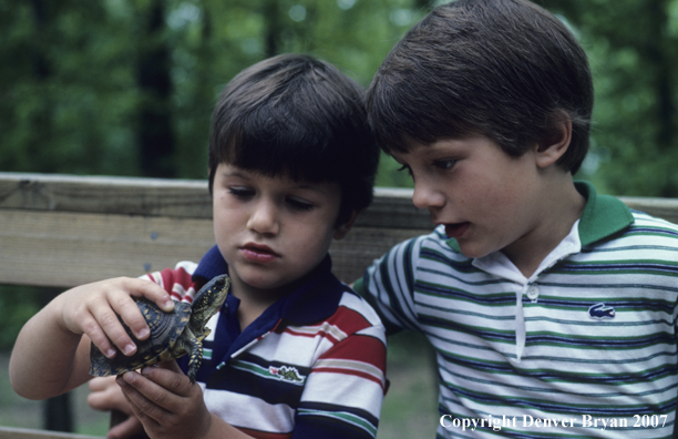 Young boys with box turtle