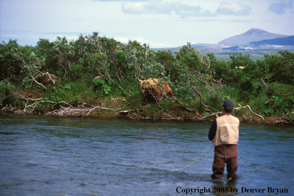 Flyfisherman casting, brown bear in background.