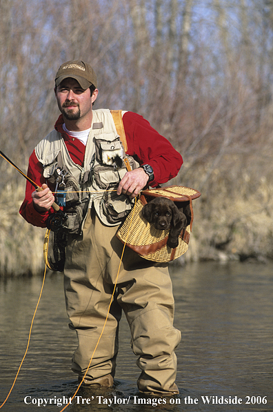 Flyfisherman with chocolate labrador pup in creel.