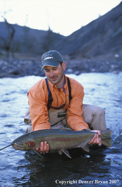 Flyfisherman releasing steelhead.