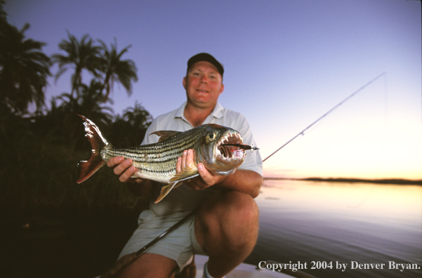 Flyfisherman with tigerfish. 