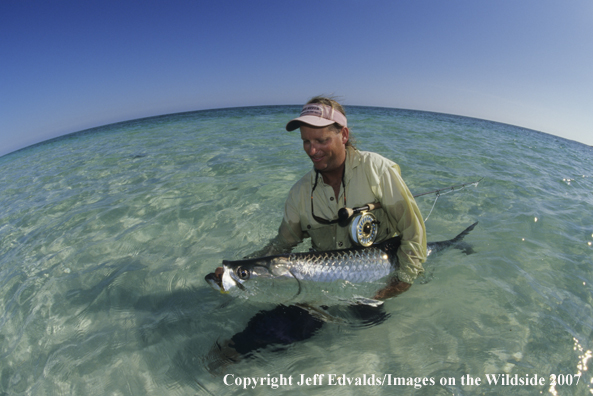 Tarpon