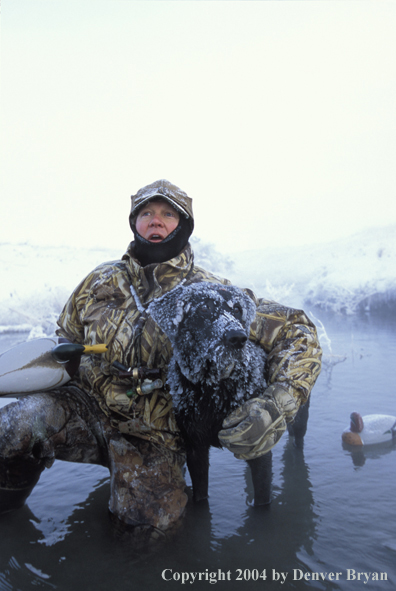 Waterfowl hunter with black Lab setting decoys. 