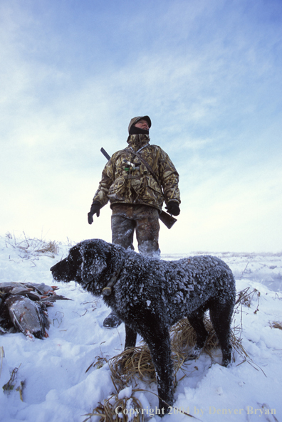 Waterfowl hunter with bagged ducks and black Lab. 