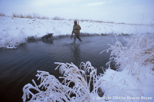 Waterfowl hunter with black Lab. 