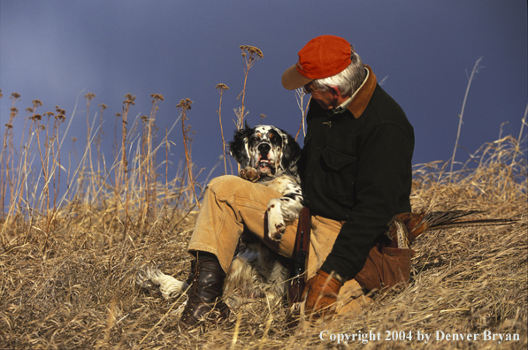 Upland bird hunter with English Setter.