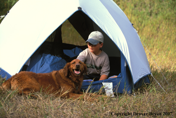 Young boy with dog camping