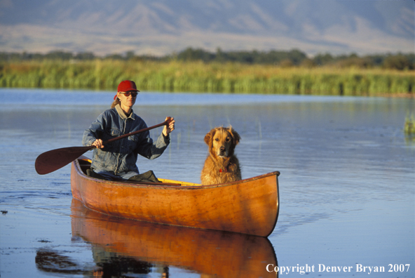 Woman canoeing with golden Retriever