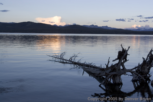 Scenic of lake at dusk.