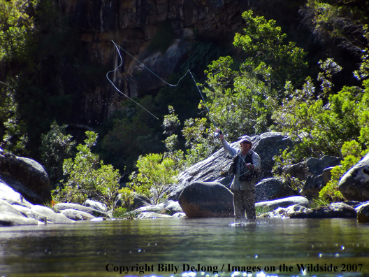 Flyfisherman casting