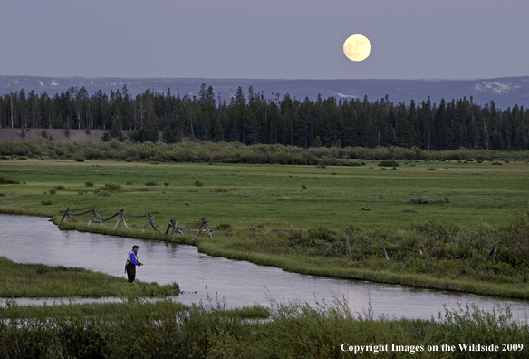 Flyfisherman fishing south fork of the Madison river