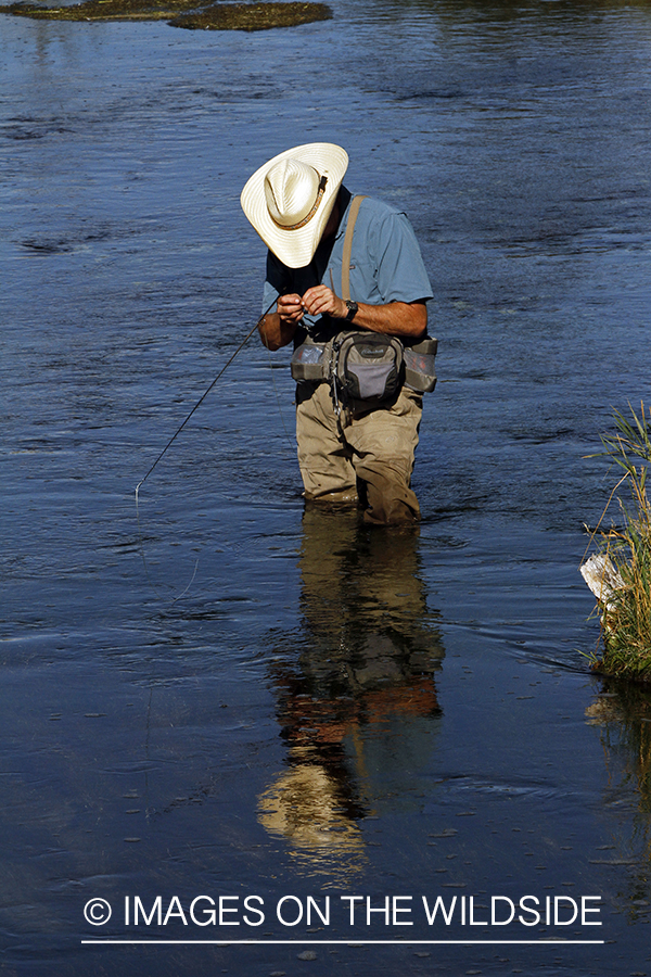 Flyfisherman tying on fly from fly box.