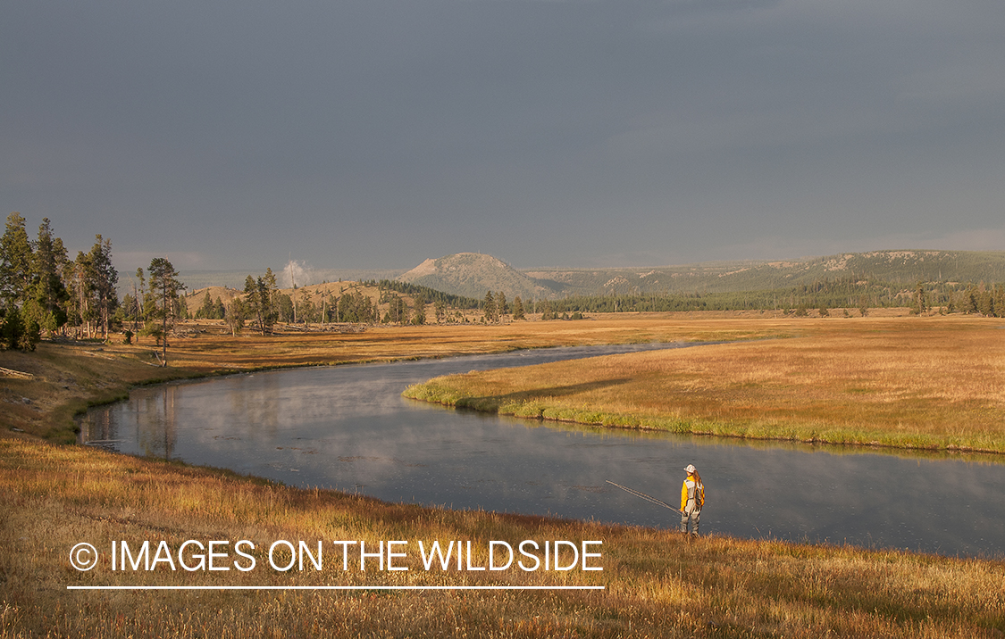 Woman flyfishing on Firehole River, Yellowstone National Park.