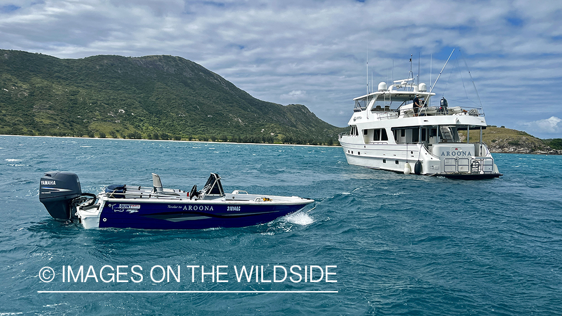 Liveaboard boat with skiff.