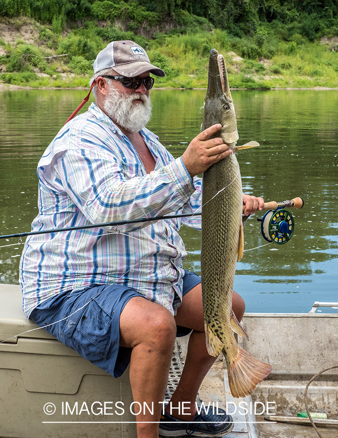 Flyfisherman with Alligator gar.