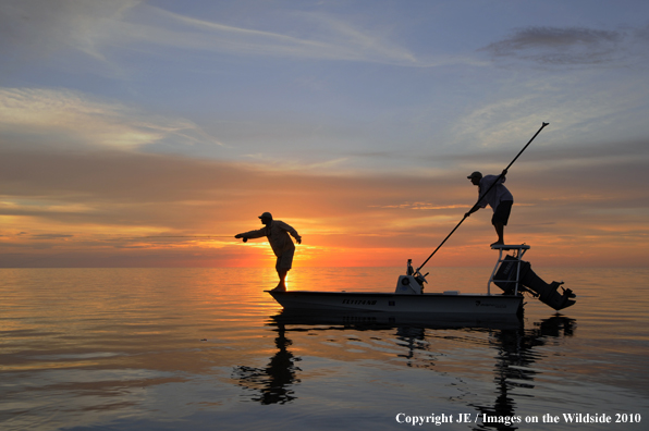 Saltwater Flyfishing at sunset