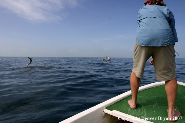 Flyfisherman with fighting/jumping tarpon