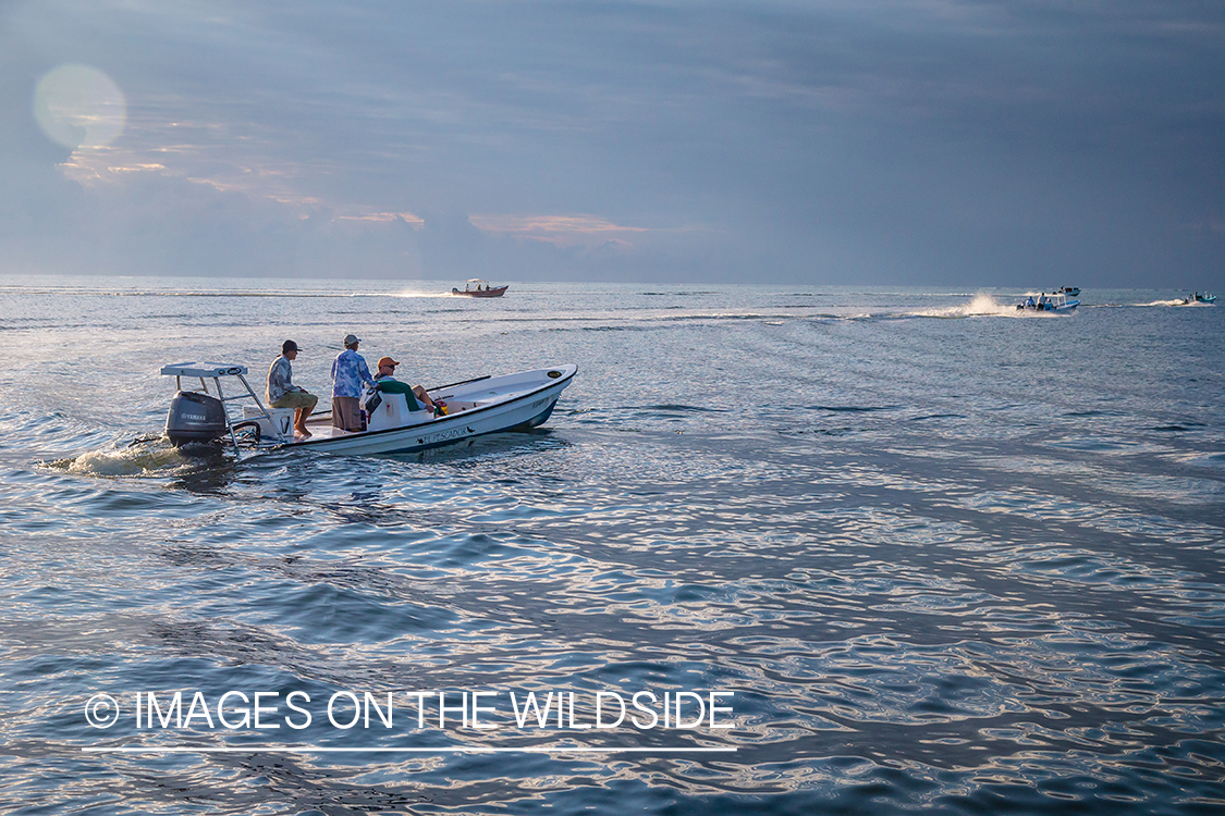 Saltwater flyfishing in Belize.