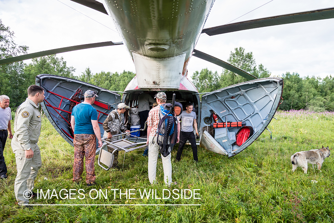 Loading gear into Russian helicopter in Kamchatka Peninsula, Russia. 