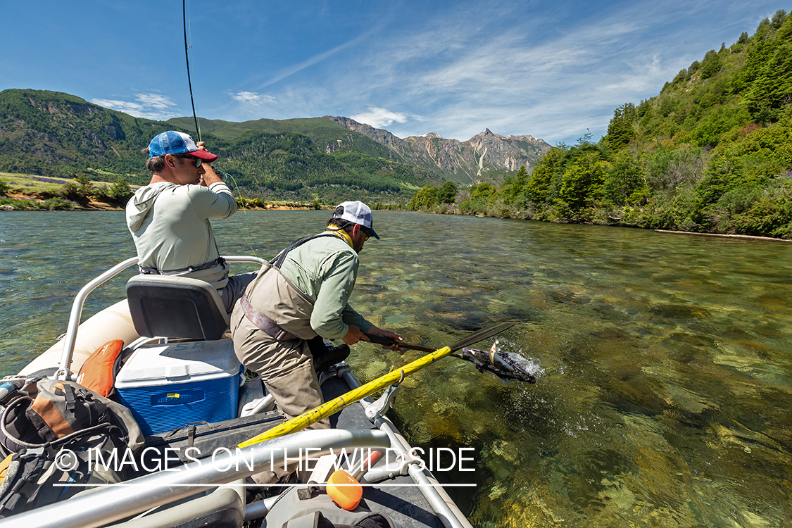 Flyfisherman fighting trout.