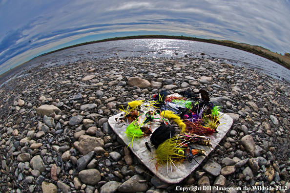 Flybox on riverbed. 