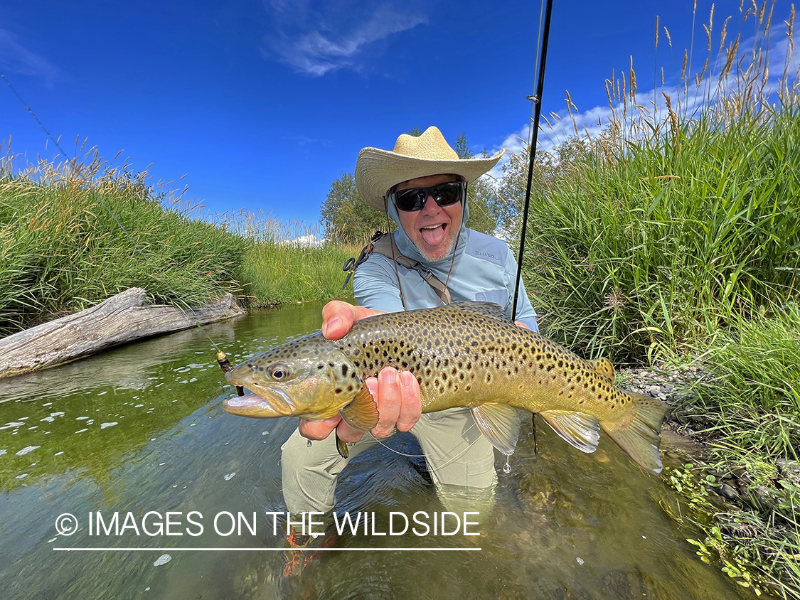 Flyfisherman holding brown trout on stream.