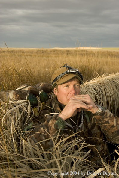 Hunter calling ducks from blind.