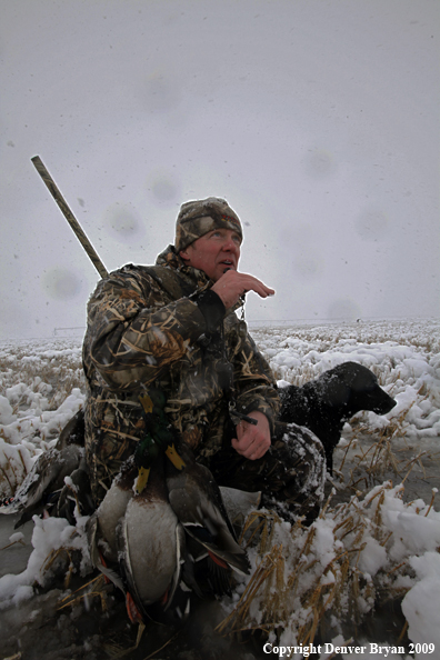 Waterfowl hunter with killed mallard ducks.