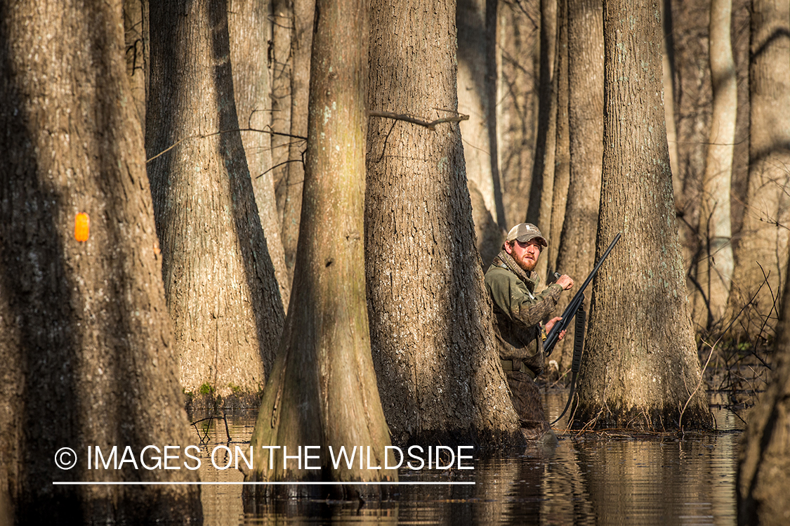 Duck hunter in flooded timber.