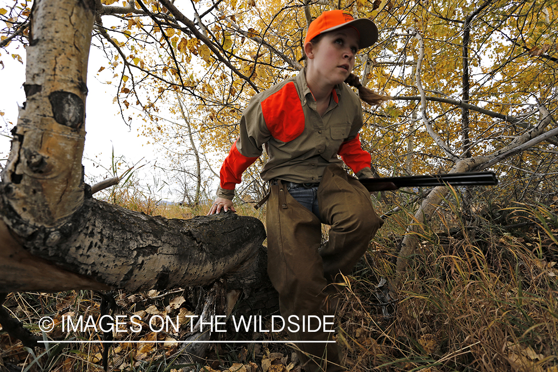 Woman hunting pheasant stepping over log.