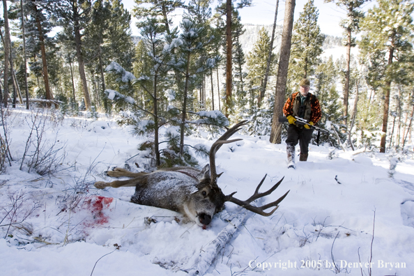 Mule deer hunter walking towards downed buck.