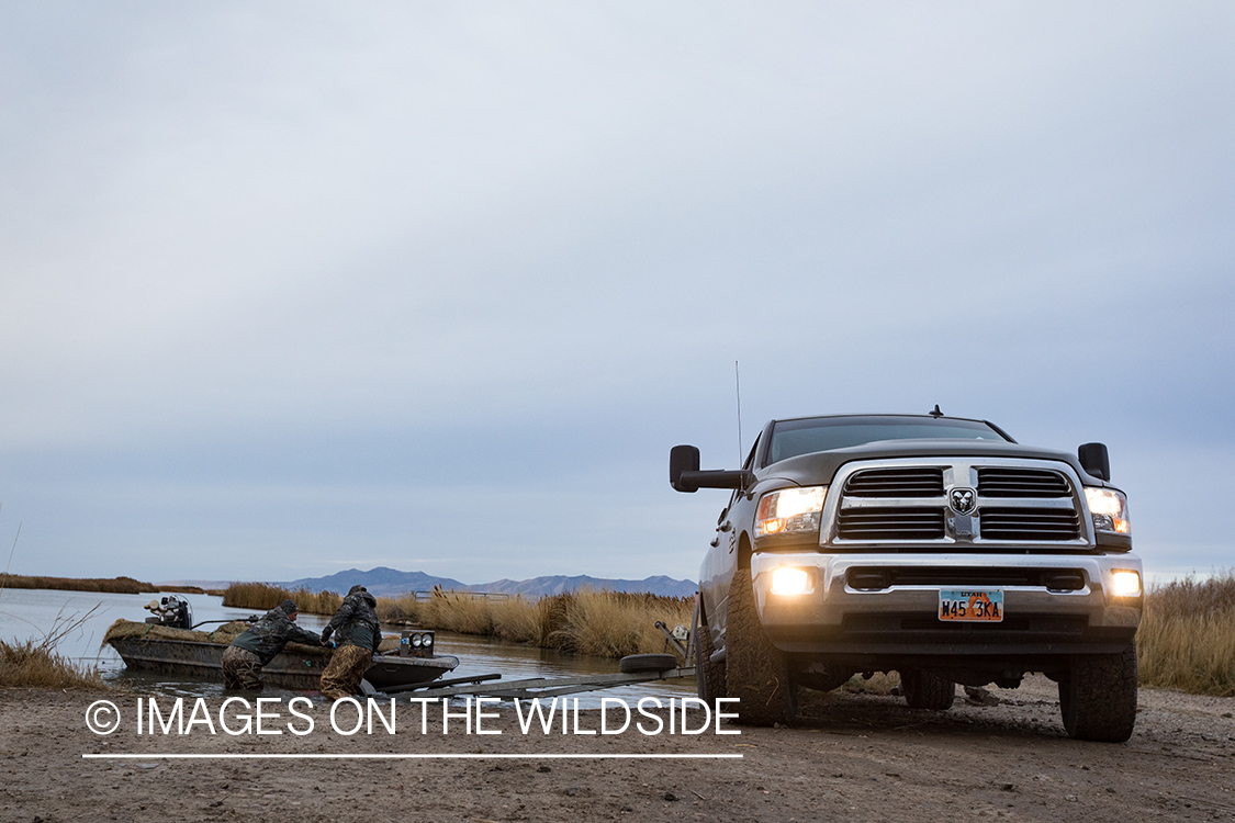 Hunting Tundra Swans and Ducks in Bear River region in Utah.