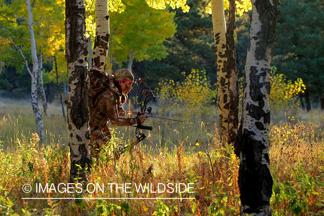 Woman bow hunting elk.