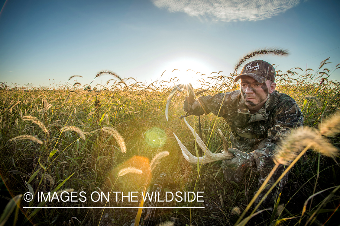 Bow hunter rattling antlers for bucks.