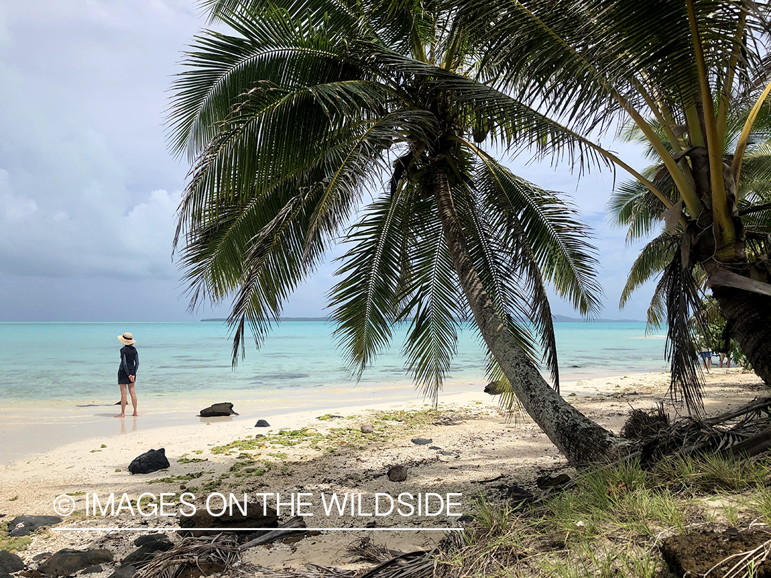 Beach on Aitutaki Island.