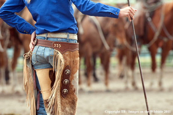 Cowgirl in cowhide chaps