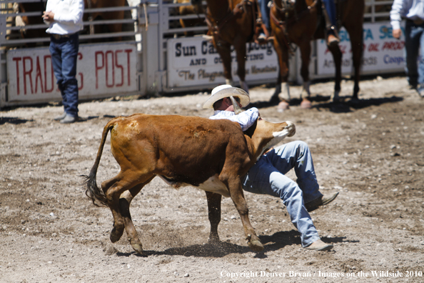 Augusta Rodeo