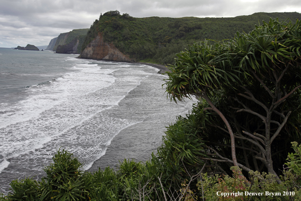 Beach on The Big Island, Hawaii.