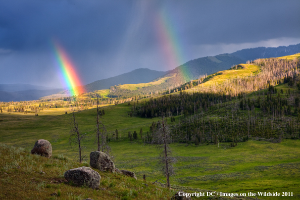 Yellowstone National Park rainbows