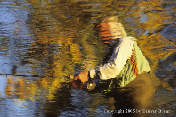 Reflection of flyfisherman on autumn colored stream.