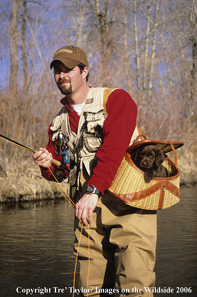 Flyfisherman with chocolate labrador pup in creel.