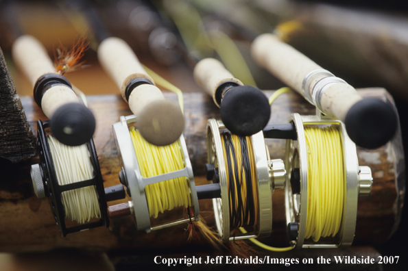 Group of spey rods and reels.