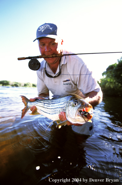 Flyfisherman with tigerfish. 