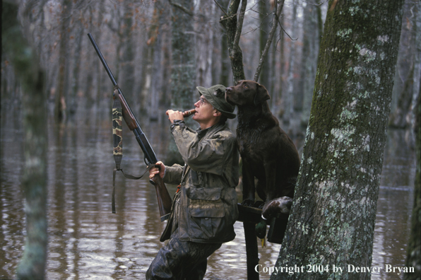 Waterfowl hunter calling birds with chocolate Lab. 